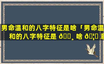 男命温和的八字特征是啥「男命温和的八字特征是 🕸 啥 🦊 意思」